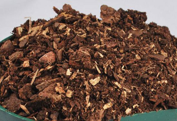 中藥渣烘干機(jī)處理前 中藥渣烘干機(jī)處理前